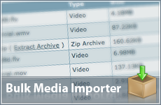 Bulk Media Importer